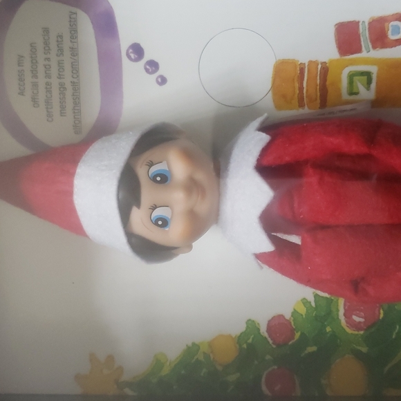 Elf on the shelf - boy - Picture 2 of 6